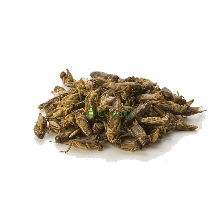 Sušené cvrčky domáce 50g/500g/1000g