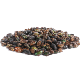 Sušené chrobáky 50g/350ml