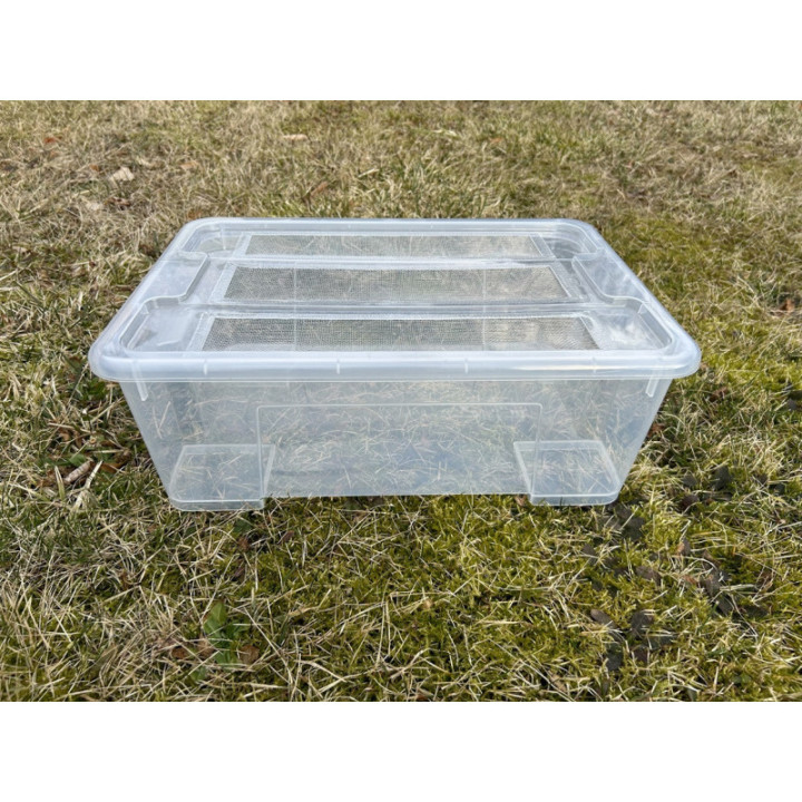 Box + 1L Zophobas červy + 1kg otruby