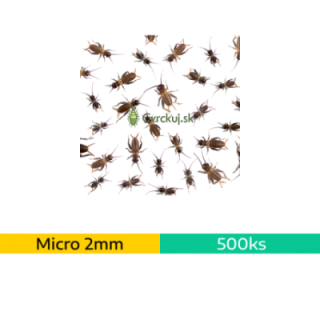 Cvrček domáci (Acheta domestica) - micro (2mm) ~500ks
